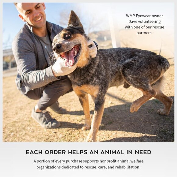 Women’s Polarized Square Sunglasses Acetate Stainless Steel UV Protection - Picture 6 of 6